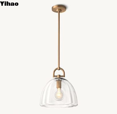 110-220 volts suspendu pendant de la lumière de la coupole du pendentif botaniste